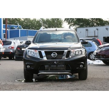 Решетка передняя мини низкая d60, Nissan Terrano 2014-