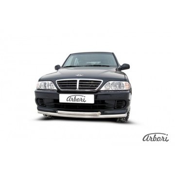 Защита переднего бампера d57+d57 двойная Arbori нерж. сталь для Тагаз ROAD Partner 2008-2011