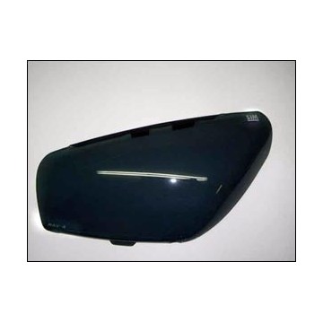 Защита передних фар темные TOYOTA RAV4 2000-2003, NLD.STORAV0022