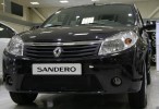 Сетка на бампер внешняя для RENAULT Sandero 2010-2014, черн., 15 мм