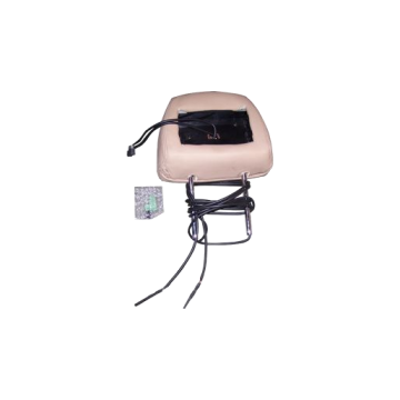 Pillow - seat Chery Eastar