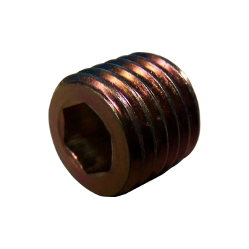 Plug Chery Fora