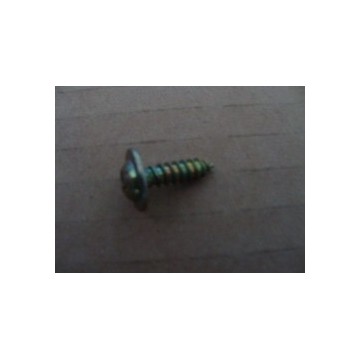 Washer and flange screw comp. BYD F3R