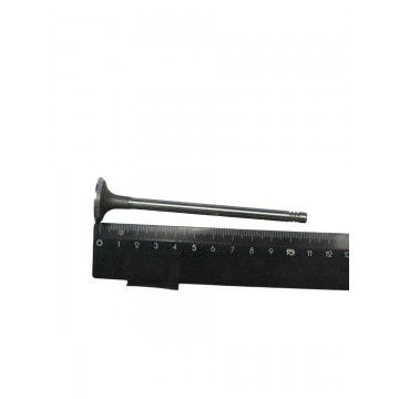 Клапан ГБЦ 473 Выпускной Chery Kimo, QQ6 1,3