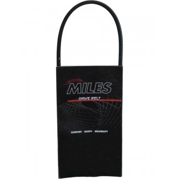 РЕМЕНЬ ГУР SMILY Miles
