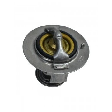 ТЕРМОСТАТ JAC REIN (C190) / S5