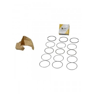 Кольца поршневые (0,25) Chery QQ