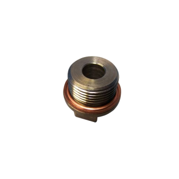Plug Chery Amulet