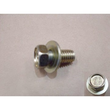Bolt w/washer kit Great Wall Coolbear