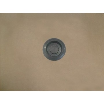 Lwr plug-side wall Great Wall Cowry