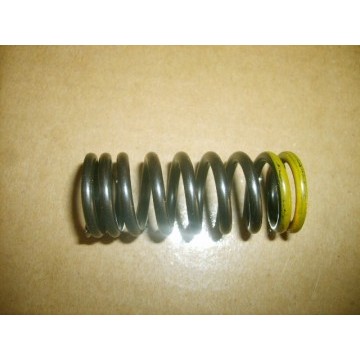 Exhaust air valve sprg Great Wall Cowry