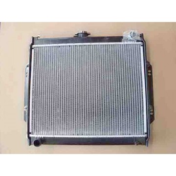 Radiator assy(safe nose export cold plac Great Wall Deer