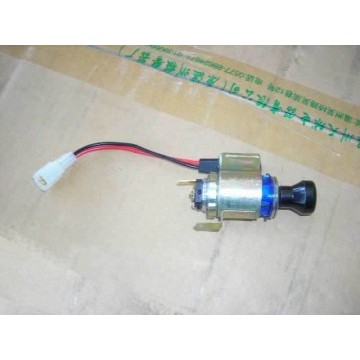 Cigar lighter assy Great Wall Deer