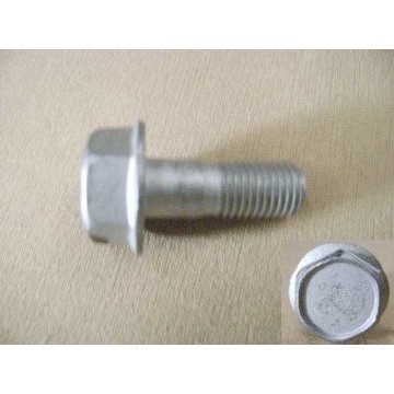 Bolt Great Wall Florid