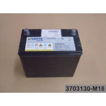 Batt Great Wall Florid