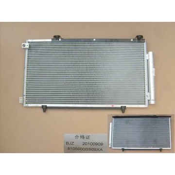 Overcooling condenser with brkt assy Great Wall Florid