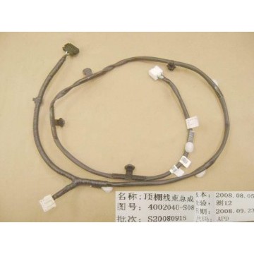 Harn assy no.2-roof Great Wall Florid