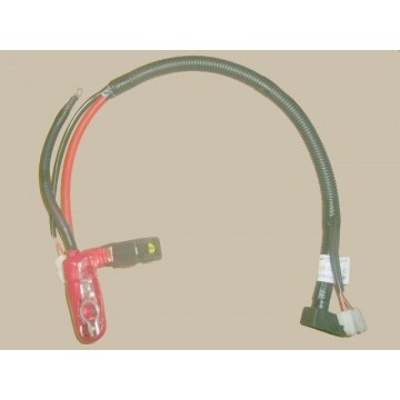 Batt anode harn assy(ieur iii) Great Wall Pegasus