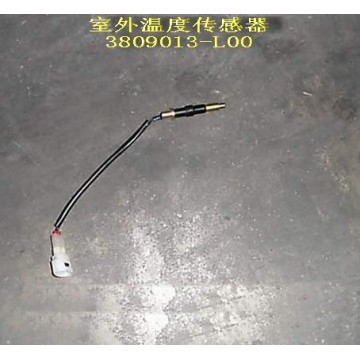 Outside temperature sensor Great Wall Pegasus