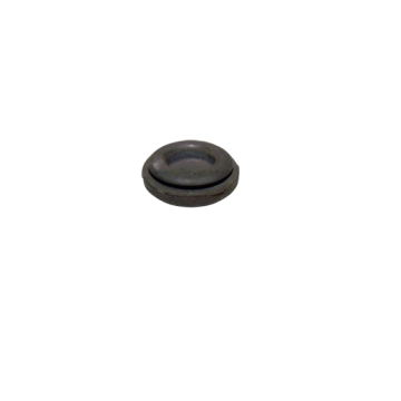 Plug Chery Amulet