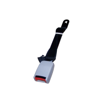 Snapclose Chery Amulet