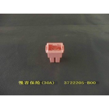 Fuse(as-30a) Great Wall Sailor