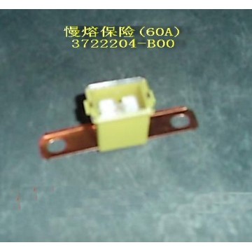 Fuse(c-60a) Great Wall Sailor