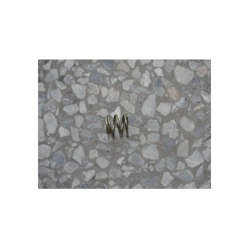Shoe hold down spring BYD F0