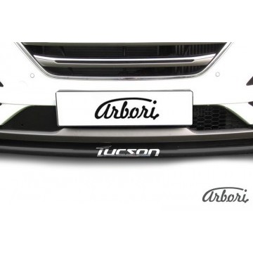 Защита переднего бампера d42 с надписью Arbori черн. для HYUNDAI Tucson 2015-2018